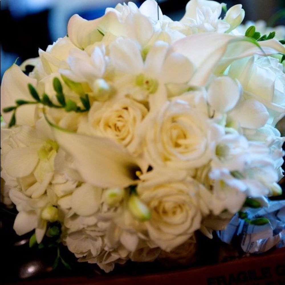 Meet your Posher, Danielle